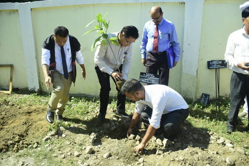 Tree Plantation by Dr.Tayek Taloh Director DHTE