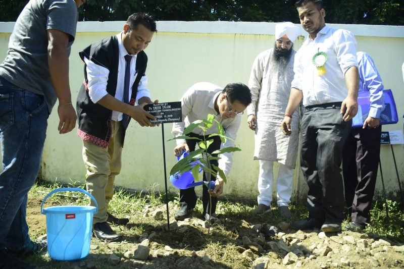 Dr.Tayek Taloh Director DHTE - Tree Plantation