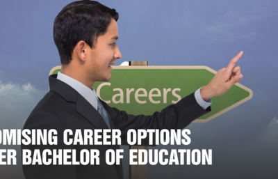 Apex Blog career